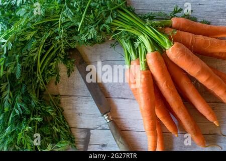 Un paquet de carottes fraîches avec des verts sur fond de bois Banque D'Images