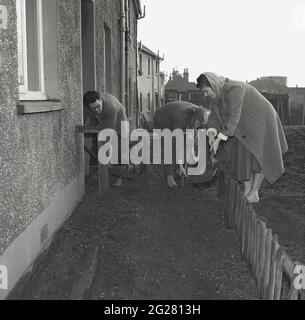 Années 1960, historique, à l'extérieur d'une maison mitoyenne, un homme et deux femmes avec des bêches qui se délaient pour construire un chemin, posant des sols pour les fondations des dalles de pavage, Kelty, Fife, Écosse, Royaume-Uni. Un village minier de charbon sur la frontière de Fife et de Perthshire, à cette époque, les villageois ont dû faire face à un avenir économique incertain, comme les mines de charbon, Qui employait autrefois la majorité des travailleurs locaux à partir de 1873 depuis la fermeture de la première mine profonde, la mine Lindsey. Banque D'Images