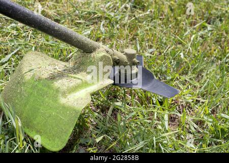 Une tondeuse à main tond l'herbe en été dans le jardin. Pour un magasin d'équipement de jardin. Banque D'Images