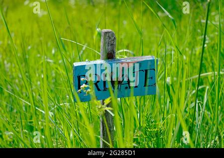 signe privé bleu météo dans l'herbe verte longue surcultivée, norfolk, angleterre Banque D'Images