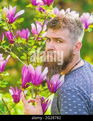 Homme avec la barbe et la moustache sur le visage strict près des fleurs le jour ensoleillé. Concept jardinier. L'Hipster profite du printemps près de la fleur pourpre. Homme barbu avec Banque D'Images