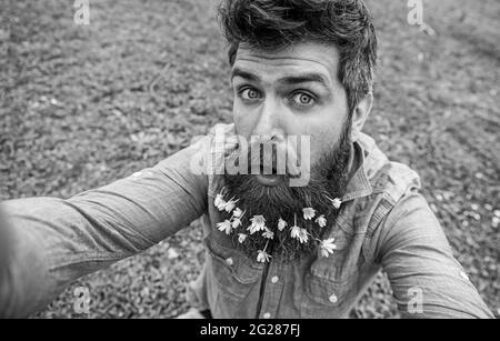 Concept de beauté naturelle. L'taille basse sur le visage surpris est sur l'herbe, défoqué. Type avec des fleurs de celandine moins dans la barbe prenant photo selfie. Homme avec Banque D'Images