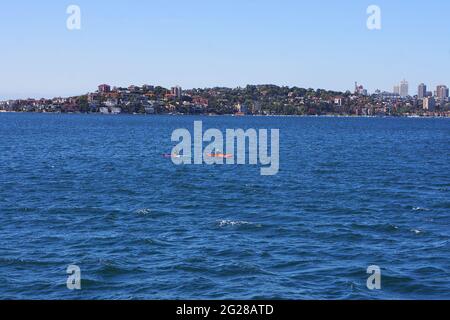 Deux hommes pagayent des kayaks sur la belle eau du port de Sydney avec la rive nord en arrière-plan. Banque D'Images