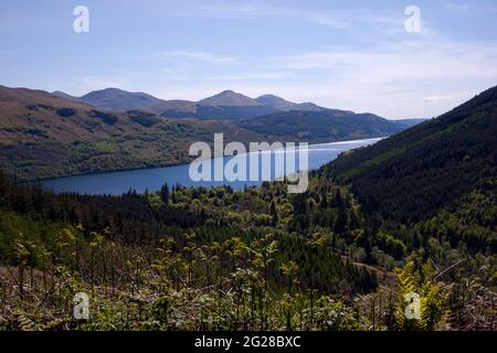 Vue sur le Loch long, Argyll, Écosse Banque D'Images