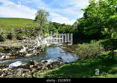 La rivière Wharfe à Loup cicatrice sur la voie des Dales, Burnsall, Yorkshire Dales Banque D'Images