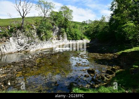 La rivière Wharfe à Loup cicatrice sur la voie des Dales, Burnsall, Yorkshire Dales Banque D'Images