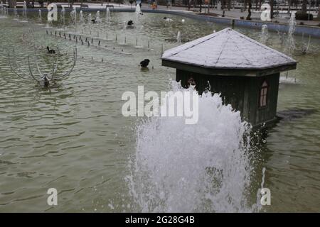 cygnes canards et oies nageant dans la piscine du parc culturel Banque D'Images