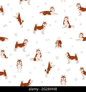 Alaskan malamute motif sans couture de toutes les couleurs. Différentes couleurs de pelage et poses. Illustration vectorielle Illustration de Vecteur