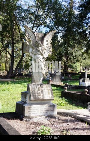 Grand ange ailé sur une tombe dans le vieux cimetière historique de Mt. Gravatt, Brisbane, Australie. Banque D'Images