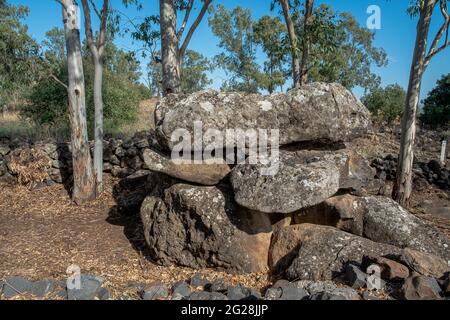 Le champ de Dolmen, Gamla, plateau du Golan, Israël UN dolmen est un type de tombeau mégalithique à chambre unique, habituellement composé de deux ou plusieurs mégali verticaux Banque D'Images