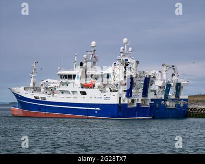 Amarré au port de Lerwick, chalutiers de la flotte de pêche commerciale pélagique de Shetland. Banque D'Images