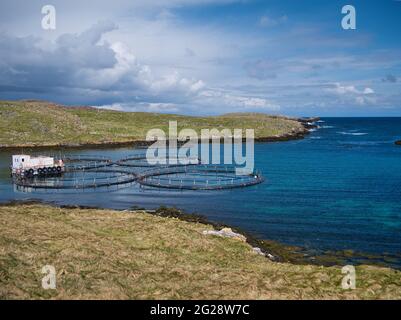 La pisciculture se trouve dans une baie abritée de Out Skerries, Shetland, Royaume-Uni. Pris lors d'une journée ensoleillée et calme avec des nuages clairs. Banque D'Images