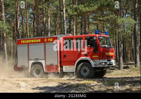 09 juin 2021, Brandebourg, Wünsdorf : un incendie du service d'incendie est en route vers un incendie dans une forêt de pins près de Wünsdorf. Avec la hausse des températures, le danger des incendies de forêt a augmenté dans le Brandebourg. Actuellement, le niveau de danger d'incendie de forêt 4 est en vigueur dans tout l'État de Brandebourg. Deux centres d'incendie de forêt à Wünsdorf (Teltow-Fläming) et Eberswalde (Barnim) surveillent les événements dans l'État. À partir de la phase 3, ils sont habités. Selon le ministère de l'Environnement, l'année dernière, il y a eu 299 incendies de forêt dans le Brandebourg sur 118.5 hectares de terres. Photo: Patrick Pleul Banque D'Images