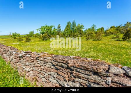 Vieux mur de pierre calcaire sur un pré en fleur Banque D'Images