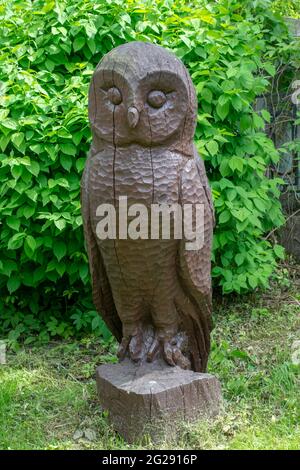 Hibou en bois sculpté dans le jardin. Feuilles vertes en arrière-plan. Banque D'Images