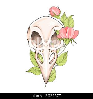 Crâne d'oiseau avec feuilles et fleurs. Motif tatouage Banque D'Images