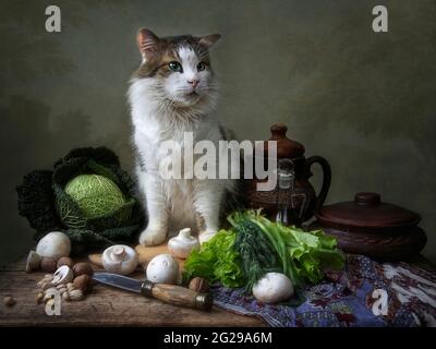 Végétarien méditerranéen encore la vie avec un chat dans un chapeau de chef Banque D'Images