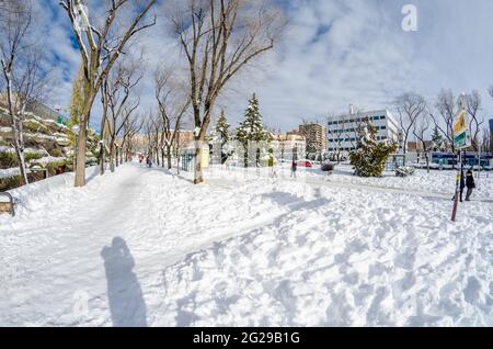 MADRID, ESPAGNE – le 10 JANVIER 2021 : les rues de Madrid ont subi les chutes de neige les plus abondantes depuis 50 ans, après la tempête Filomena Banque D'Images