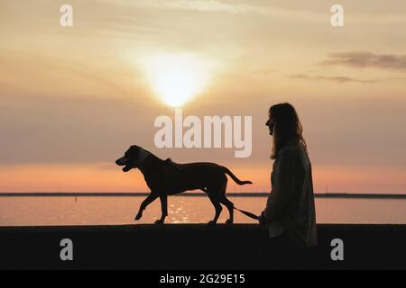 Silhouette d'une femme marchant avec un chien le long du quai au coucher du soleil Banque D'Images