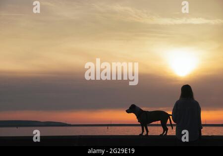 Silhouette d'une femme avec un chien en admirant le coucher de soleil dans la baie Banque D'Images