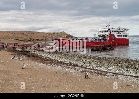 ISLA MAGDALENA, CHILI - 4 MARS 2015 : le ferry avec les touristes arrive à la colonie de pingouins sur l'île Isla Magdalena, dans le détroit de Magellan, au Chili Banque D'Images