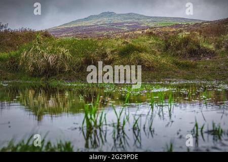 Paysages irlandais. Croghan montagne couverte de nuages avec des sorts ensoleillés. Côte est de l'Irlande. Banque D'Images