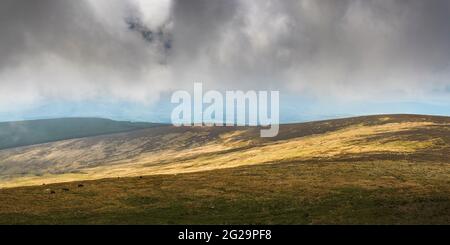 Paysages irlandais. Croghan montagne couverte de nuages avec des sorts ensoleillés. Côte est de l'Irlande. Banque D'Images