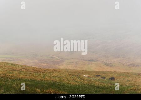 Paysages irlandais. Croghan montagne couverte de nuages avec des sorts ensoleillés. Côte est de l'Irlande. Banque D'Images