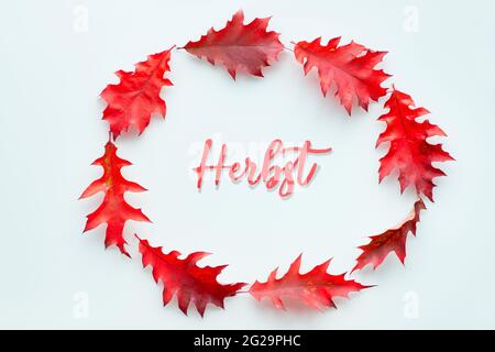 Mot Herbst entouré de feuilles d'automne en chêne rouge. Texte papier Herbst signifie automne en allemand. Élément de conception minimaliste saisonnier simple vue du dessus activée Banque D'Images