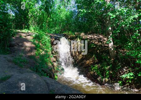 cascade de rivière tranquille dans les profondeurs de la forêt Banque D'Images