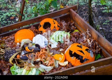 Lanternes traditionnelles sculptées à la citrouille qui pourriture et se décomposent sur un tas de compost après Halloween, Surrey, au sud-est de l'Angleterre Banque D'Images