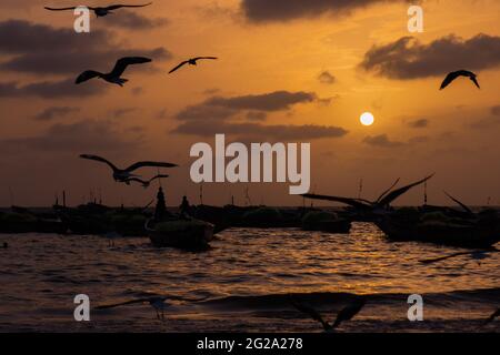 Bord de mer avec silhouettes de troupeau d'oiseaux volants au-dessus de la mer sur le ciel coloré au lever du soleil Banque D'Images