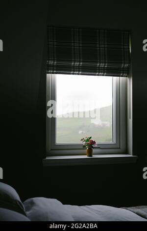 Petit bouquet de fleurs sauvages multicolores parfumées dans un vase sur un seuil blanc près de la fenêtre dans la chambre sombre de la maison de campagne Banque D'Images