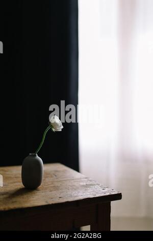 Grand angle de fleur de Ranunculus fraîche avec pétales blancs dans un petit vase en céramique sur une table en bois sorbée dans une pièce lumineuse Banque D'Images