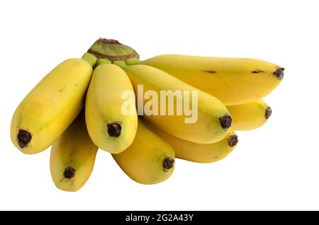 Un bouquet de quelques bananes mûres jaunes naturelles isolées sur un fond blanc. Mise au point sélective. Banque D'Images