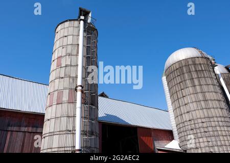 Vue sur grain Silos dans une ferme Amish Banque D'Images