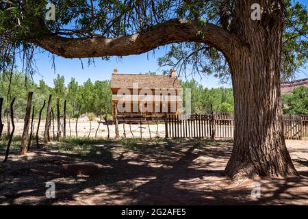 Maison Abanonded encadrée par un grand arbre dans la ville fantôme de Grafton Utah Banque D'Images