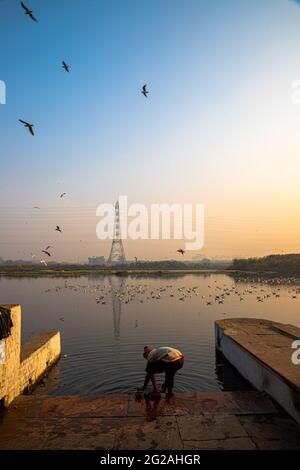 grues sibériennes ou mouettes de mer survolant la rivière yamuna à delhi. Banque D'Images