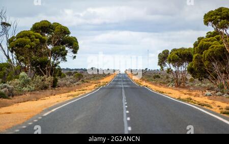 '90 Mile Straight' sur l'Eyre Highway entre Balladonia et Caiguna sur la plaine de Nullarbor en Australie occidentale Banque D'Images