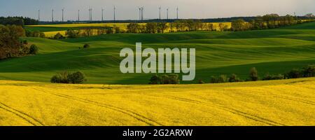 Panorama of the fields situated on undulating hills, reminiscent of the landscape of Italian Tuscany Banque D'Images