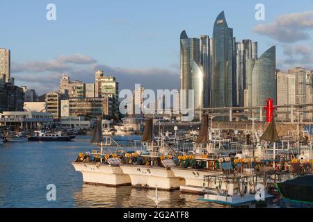 Busan, Corée du Sud - 16 mars 2018 : les bateaux de pêche industriels sont amarrés dans le petit port de la ville de Busan Banque D'Images