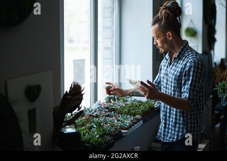 Homme barbu debout près de la fenêtre et de l'usine de maintien Banque D'Images