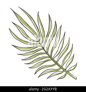 Feuille tropicale à ligne continue pour logo, modèle d'emblème, toile, imprimés Illustration de Vecteur
