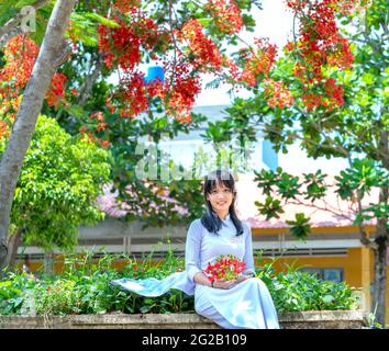 Les écolières en robe longue traditionnelle ou uniforme Ao Dai posant avec des fleurs phoenix école yard Mark les étudiants restent intemporels à long an, Vietnam Banque D'Images