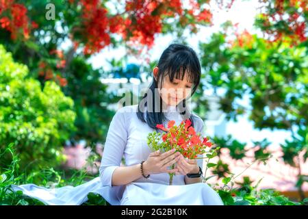 Les écolières en robe longue traditionnelle ou uniforme Ao Dai posant avec des fleurs phoenix école yard Mark les étudiants restent intemporels à long an, Vietnam Banque D'Images