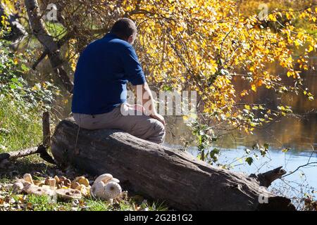 Homme assis avec son dos sur une bûche de bois au bord de la rivière. Le tourisme se prélase au soleil à la lumière du soleil forêt d'automne multicolore. Banque D'Images