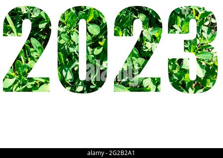 Carte du nouvel an. Nombres de l'année 2023 de l'herbe verte isolée sur fond blanc. Des éléments pour votre conception.