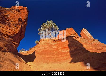 FRANCE, PROVENCE-ALPES-CÔTE D'AZUR. VAUCLUSE (84) ROUSSILLON , PARC NATUREL DU LUBERON, CARRIÈRE D'OCRE PRÈS DU VILLAGE DE ROUSSILLON Banque D'Images