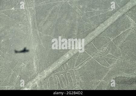 Geoglyphe d'une baleine vue sur un avion léger survolant les lignes Nazca, avec l'ombre de l'avion en vue Banque D'Images