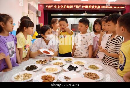 Donghai, Donghai, Chine. 10 juin 2021. Le 9 juin 2021, dans la troisième école maternelle du comté de Donghai, dans la ville de Lianyungang, dans la province de Jiangsu, un professeur de soins de santé enseigne aux enfants la phytothérapie chinoise. Le même jour, la troisième école maternelle du comté de Donghai, dans la ville de Lianyungang, dans la province de Jiangsu, a organisé des enfants pour mener à bien l'activité « apprendre au sujet du festival des bateaux-dragons et reconnaître la médecine chinoise ». Nous avons ressenti le charme de la médecine traditionnelle chinoise à l'approche du Dragon Boat Festival. Crédit : SIPA Asia/ZUMA Wire/Alay Live News Banque D'Images